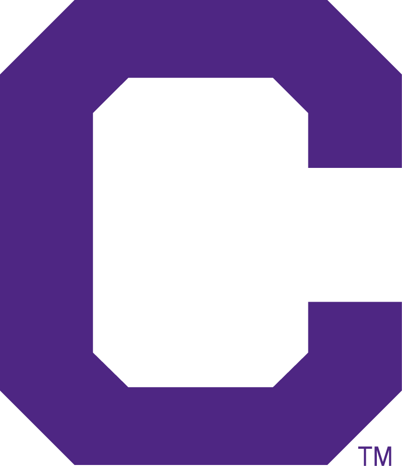 Clemson Tigers 1951-1964 Alternate Logo DIY iron on transfer (heat transfer)